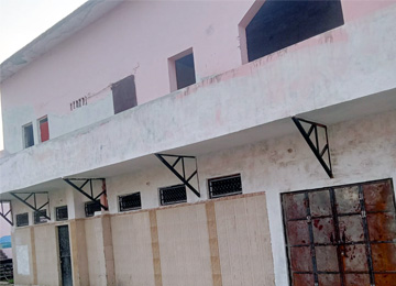 Our Services